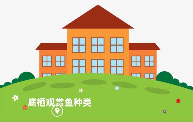 底栖观赏鱼种类