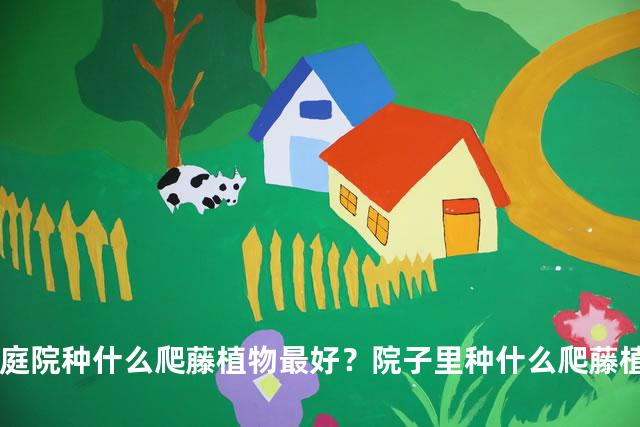 庭院种什么爬藤植物最好？院子里种什么爬藤植物旺宅