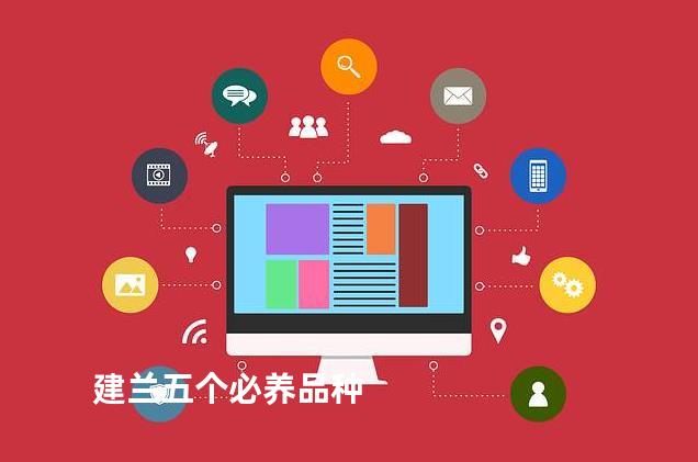 建兰五个必养品种