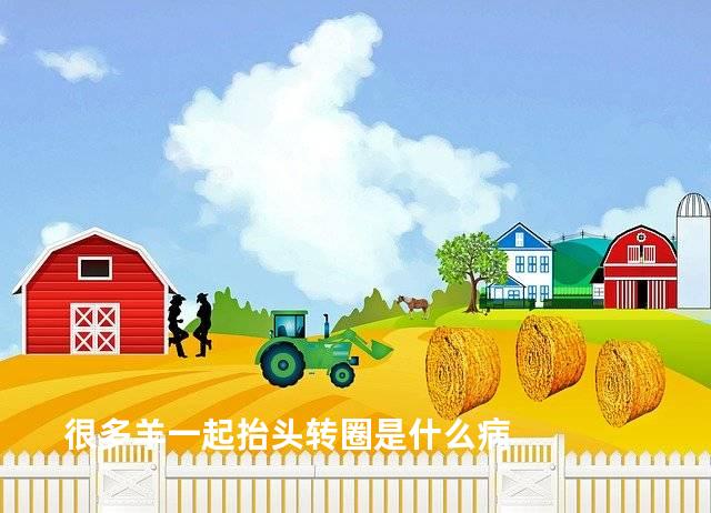 很多羊一起抬头转圈是什么病