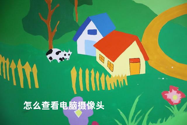 怎么查看电脑摄像头