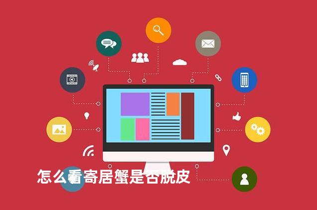 怎么看寄居蟹是否脱皮