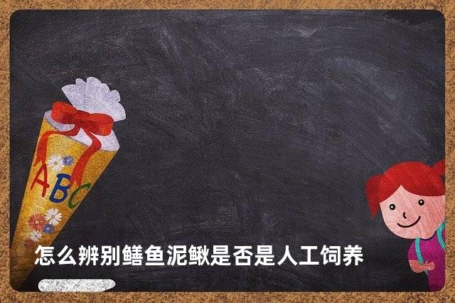 怎么辨别鳝鱼泥鳅是否是人工饲养