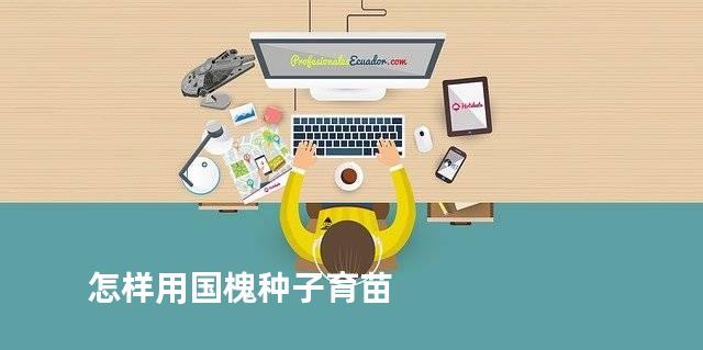 怎样用国槐种子育苗