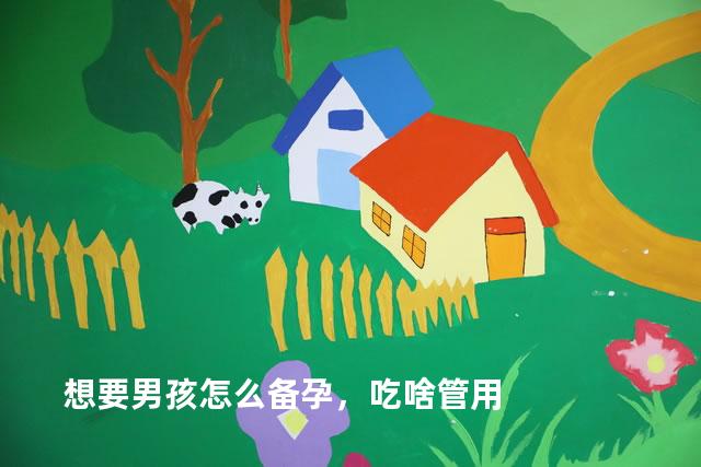 想要男孩怎么备孕，吃啥管用