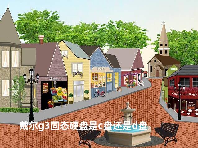 戴尔g3固态硬盘是c盘还是d盘