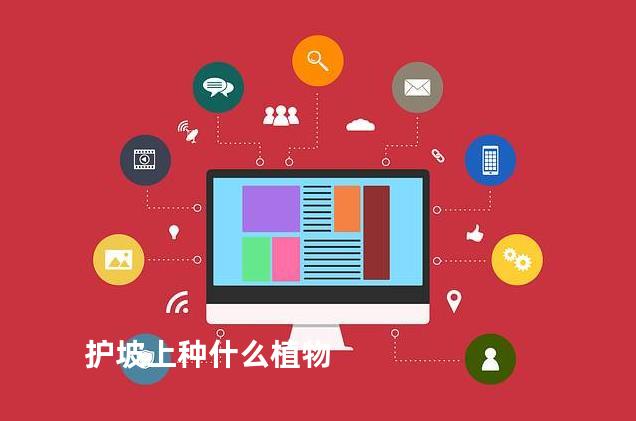 护坡上种什么植物