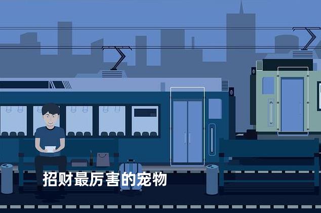 招财最厉害的宠物