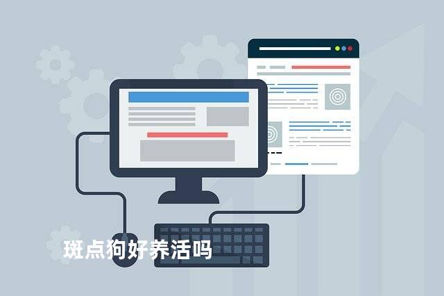 斑点狗好养活吗