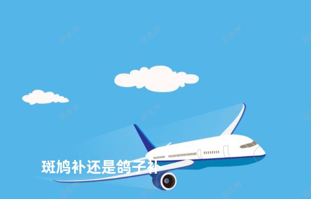 斑鸠补还是鸽子补