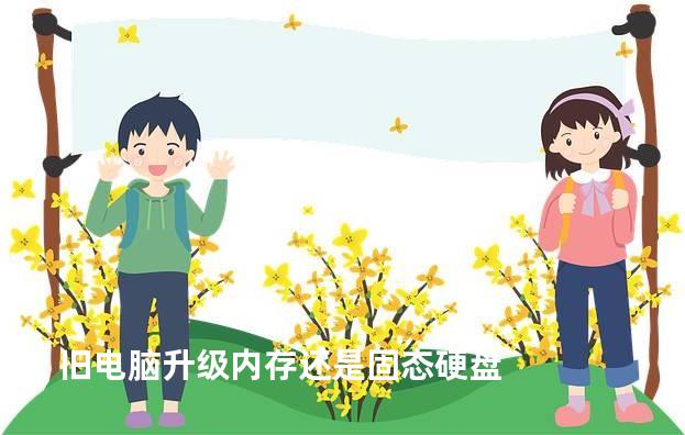 旧电脑升级内存还是固态硬盘