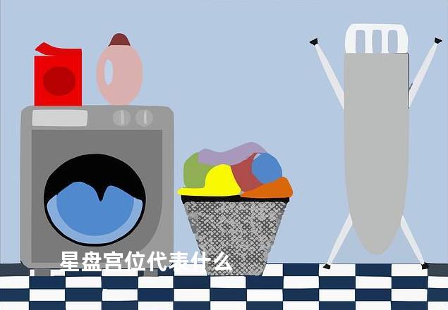 星盘宫位代表什么