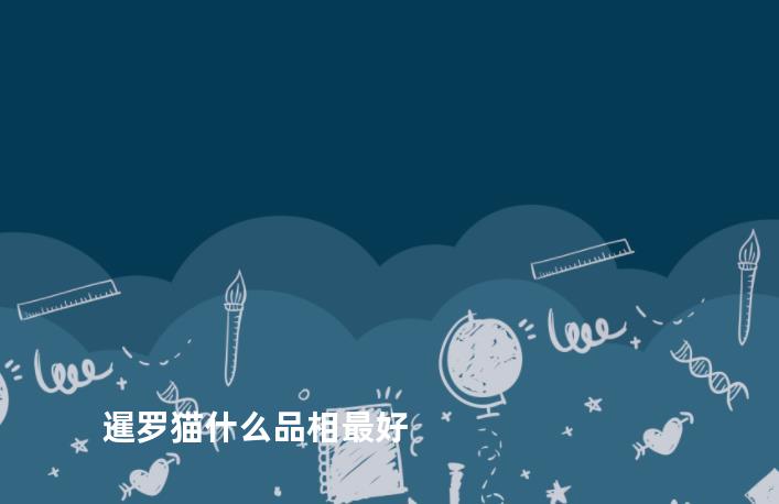 暹罗猫什么品相最好