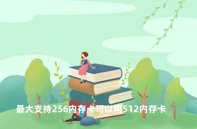 最大支持256内存卡可以用512内存卡