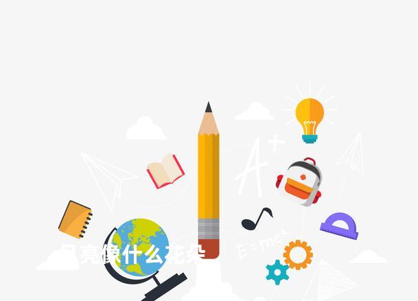 月亮像什么花朵