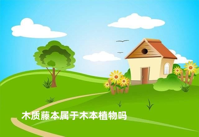 木质藤本属于木本植物吗