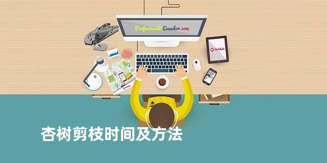 杏树剪枝时间及方法