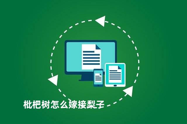 枇杷树怎么嫁接梨子