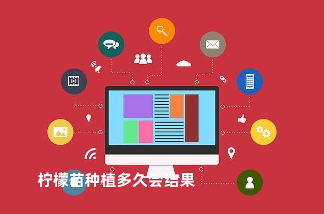 柠檬苗种植多久会结果