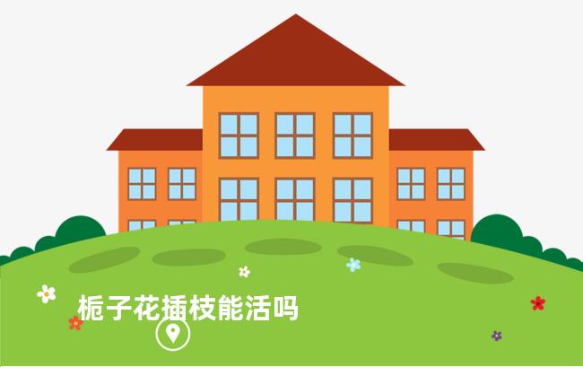 栀子花插枝能活吗