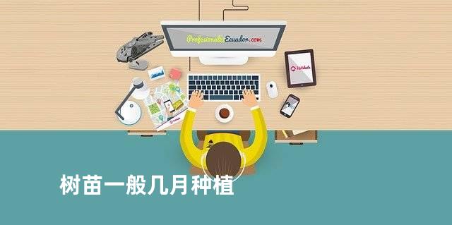 树苗一般几月种植