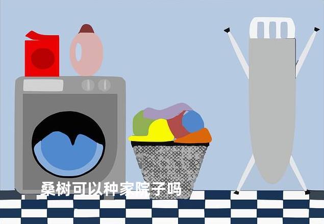 桑树可以种家院子吗