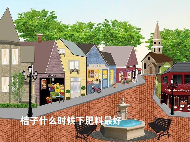 桔子什么时候下肥料最好