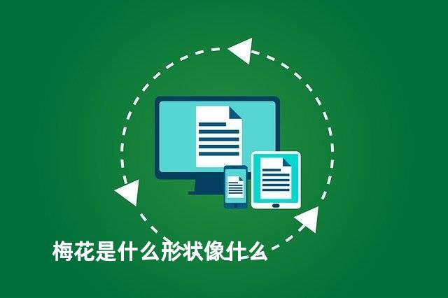 梅花是什么形状像什么