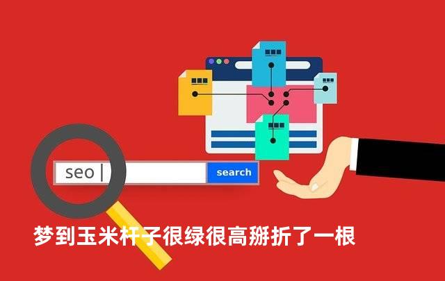 梦到玉米杆子很绿很高掰折了一根