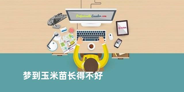 梦到玉米苗长得不好