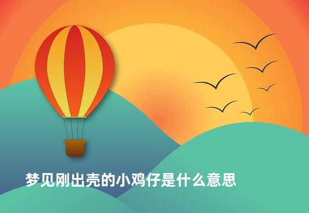 梦见刚出壳的小鸡仔是什么意思