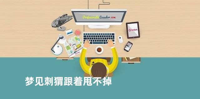 梦见刺猬跟着甩不掉