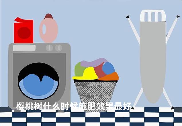 樱桃树什么时候施肥效果最好