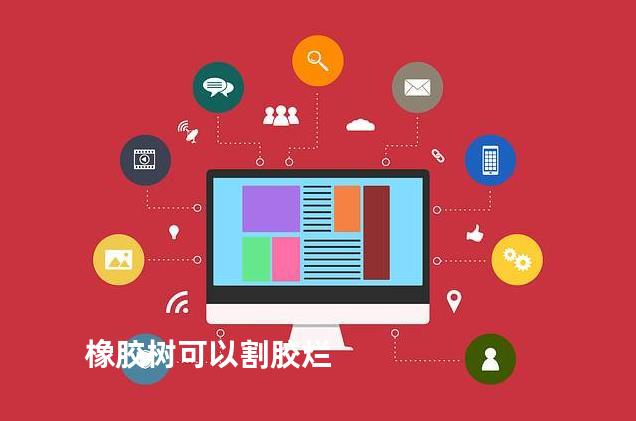 橡胶树可以割胶烂