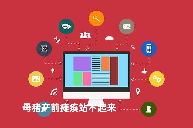 母猪产前瘫痪站不起来