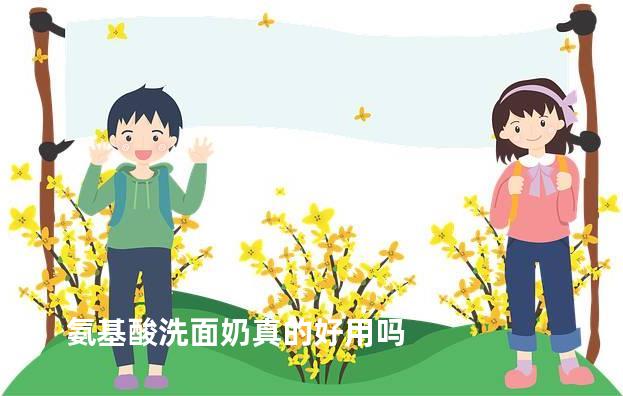 氨基酸洗面奶真的好用吗
