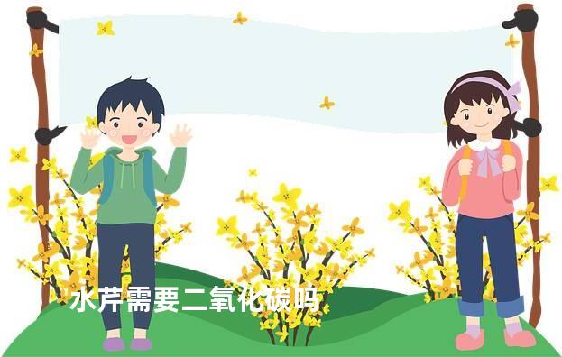 水芹需要二氧化碳吗