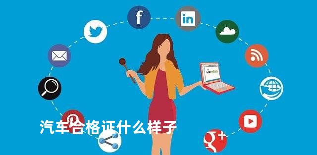 汽车合格证什么样子