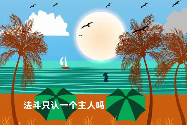 法斗只认一个主人吗