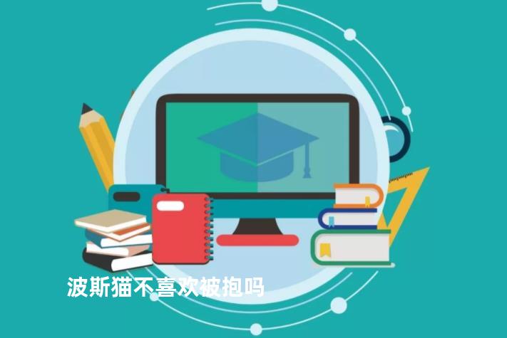 波斯猫不喜欢被抱吗