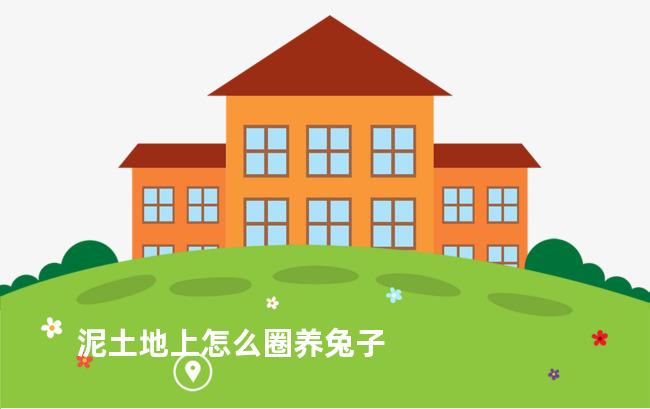 泥土地上怎么圈养兔子