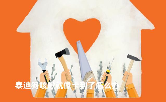 泰迪狗咳嗽就像卡到了怎么办