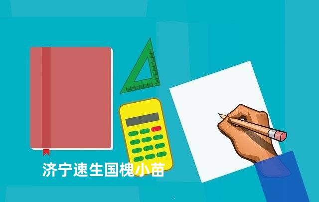 济宁速生国槐小苗