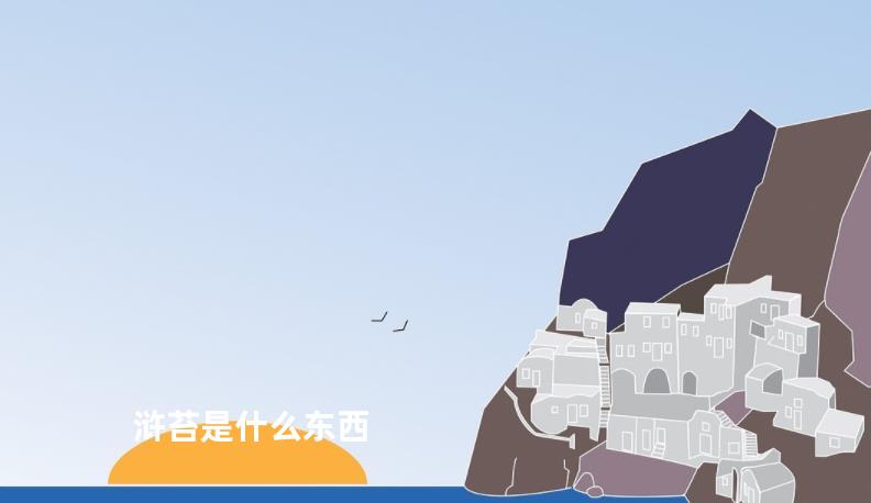 浒苔是什么东西