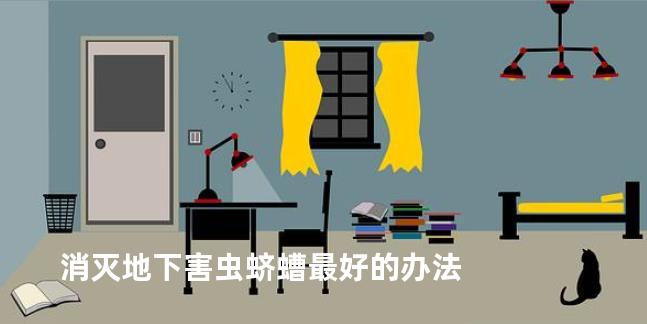 消灭地下害虫蛴螬最好的办法