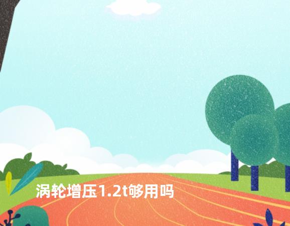 涡轮增压1.2t够用吗
