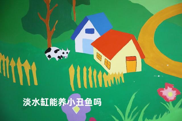 淡水缸能养小丑鱼吗