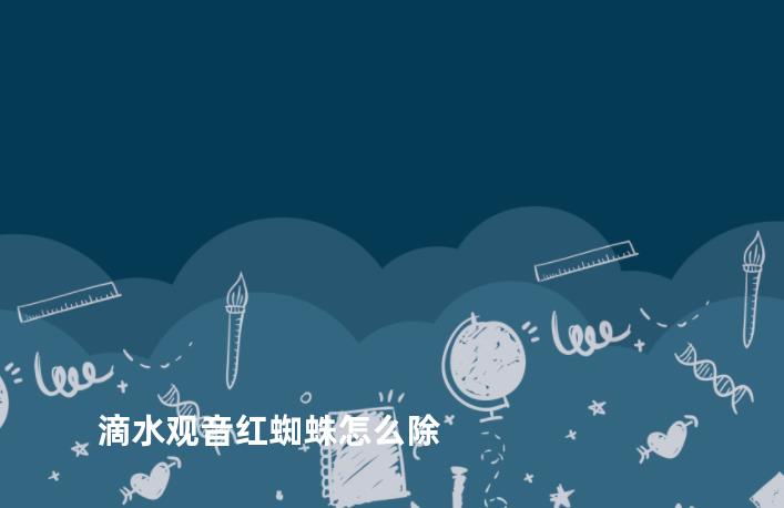 滴水观音红蜘蛛怎么除