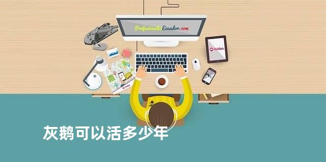 灰鹅可以活多少年