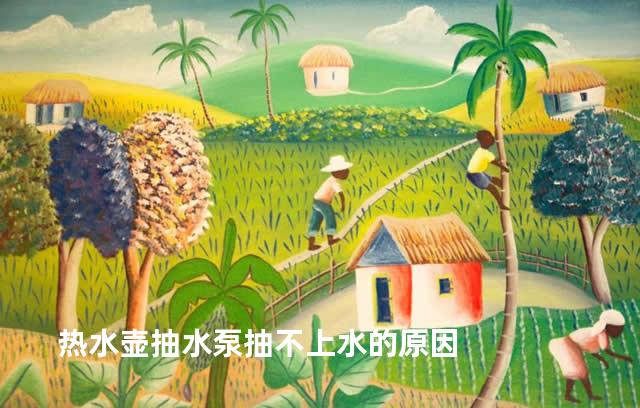 热水壶抽水泵抽不上水的原因